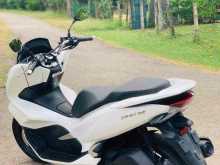 Honda Pcx 2019 Motorbike