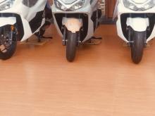 Photo 6