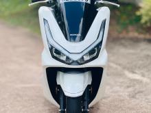 Honda Pcx 2026 Motorbike