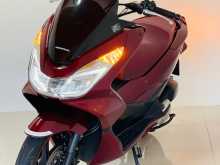 Honda Pcx 2019 Motorbike