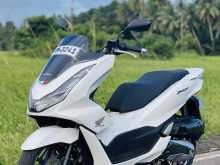 Honda PCX 2024 Motorbike