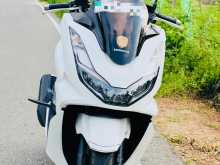 Honda Pcx 2024 Motorbike