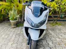 Honda Pcx 2024 Motorbike