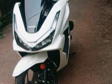 Honda Pcx 2025 Motorbike