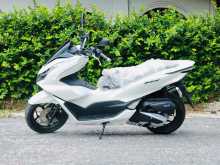 Honda PCX 2024 Motorbike