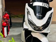 Honda PCX Japan 2024 Motorbike