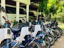 Honda Press Cub 2019 Motorbike