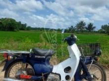 https://riyasewana.com/uploads/honda-press-cub-282237321380312.jpg