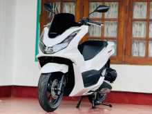 Honda PXC 160 2024 Motorbike