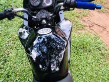 https://riyasewana.com/uploads/honda-stunner-109131322523.jpg