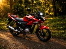 Honda Stunner 2010 Motorbike