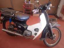 https://riyasewana.com/uploads/honda-super-cub-102145134623.jpg