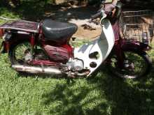 https://riyasewana.com/uploads/honda-super-cub-131036234143.jpg