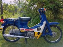 Honda Super Cub Japan 2023 Motorbike
