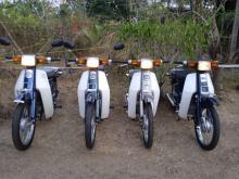 https://riyasewana.com/uploads/honda-super-cub-21025056636.jpg