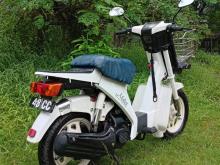 Photo 10