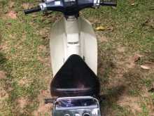 https://riyasewana.com/uploads/honda-super-cub-231544321813.jpg
