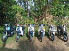 Honda Super Cub Japan 2022 Motorbike