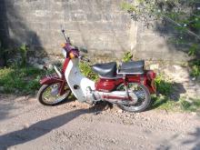 Honda Super Cub Custom 2005 Motorbike