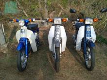 https://riyasewana.com/uploads/honda-super-cub-26609406226.jpg
