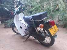 https://riyasewana.com/uploads/honda-super-cub-717301813272.jpg