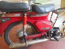 https://riyasewana.com/uploads/honda-super-cub-81857014673.jpg
