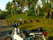 Honda Super Cub 90 2001 Motorbike