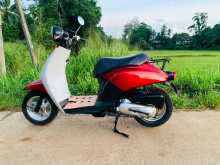 Honda Today 2022 Motorbike