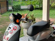 Honda Today 2024 Motorbike