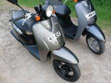 Honda Today 2024 Motorbike