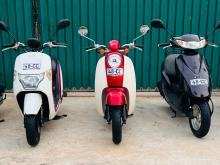Honda Today 2025 Motorbike