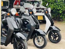 Honda Today 48cc 2024 Motorbike