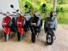 Honda TODAY 2024 Motorbike