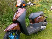 Honda Today Dio Japan 2024 Motorbike