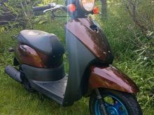 Honda Today Dio Japan 2024 Motorbike