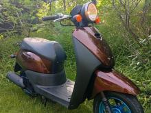 Honda Today Dio Japan 2024 Motorbike