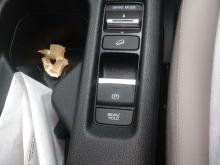 https://riyasewana.com/uploads/honda-vezel-271939106546.jpg