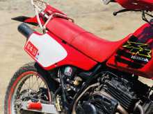https://riyasewana.com/uploads/honda-xlr-250rfvc-298015422482.jpg