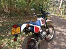 https://riyasewana.com/uploads/honda-xlr-61342354163.jpg