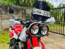 Honda XLR BAJA RFVC 250 1993 Motorbike