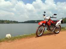 Honda XR 230 2015 Motorbike