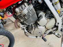 https://riyasewana.com/uploads/honda-xr-250-1010011222672.jpg