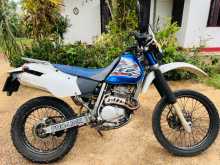 Honda Xr250 2001 Motorbike