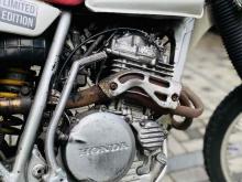 https://riyasewana.com/uploads/honda-xr250-2621212324591.jpg