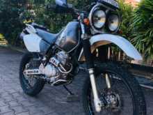 https://riyasewana.com/uploads/honda-xr250-baja-2312160113622.jpg