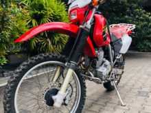 Honda XR250 CH150 2024 Motorbike