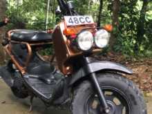 Honda Zoomer 2020 Motorbike