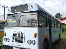 Isuzu Isuzu 1988 Bus