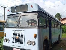 Isuzu Isuzu 1988 Bus