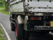Isuzu ELF 1998 Lorry